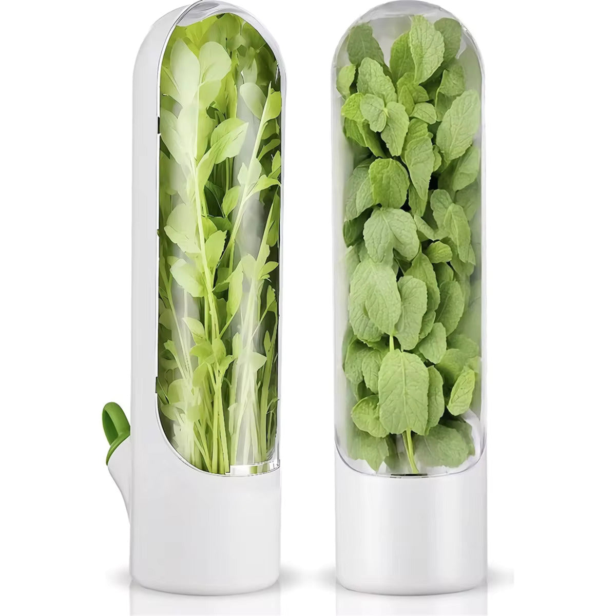ErvasPods™ 🌿 -  Melhor recipiente de armazenamento para produtos mais frescos