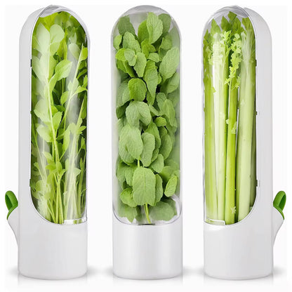 ErvasPods™ 🌿 -  Melhor recipiente de armazenamento para produtos mais frescos